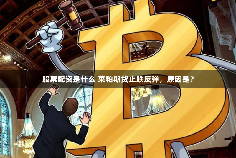 股票配资是什么 菜粕期货止跌反弹，原因是？