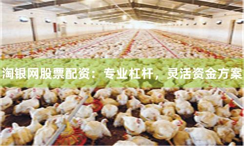 淘银网股票配资：专业杠杆，灵活资金方案